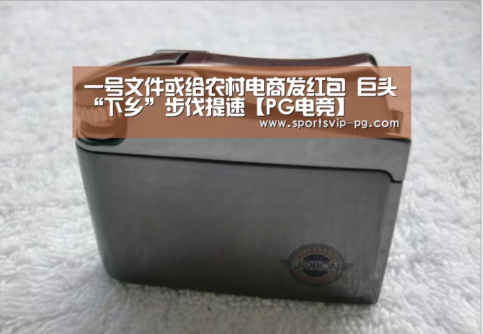 一号文件或给农村电商发红包 巨头“下乡”步伐提速【PG电竞】(图2) PG电竞