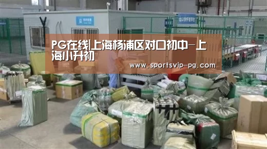 PG娱乐
