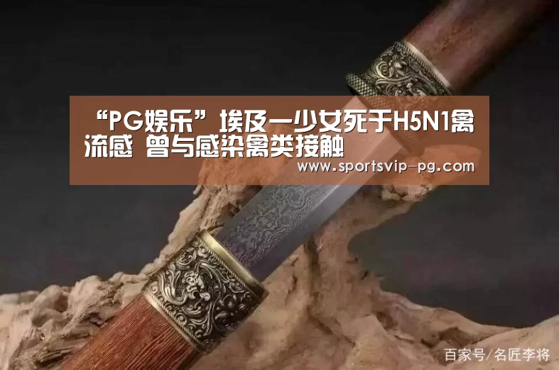 PG电竞