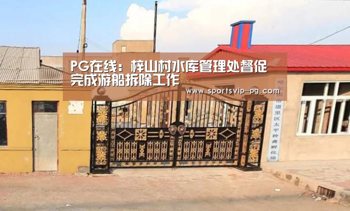 PG在线