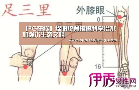 PG娱乐