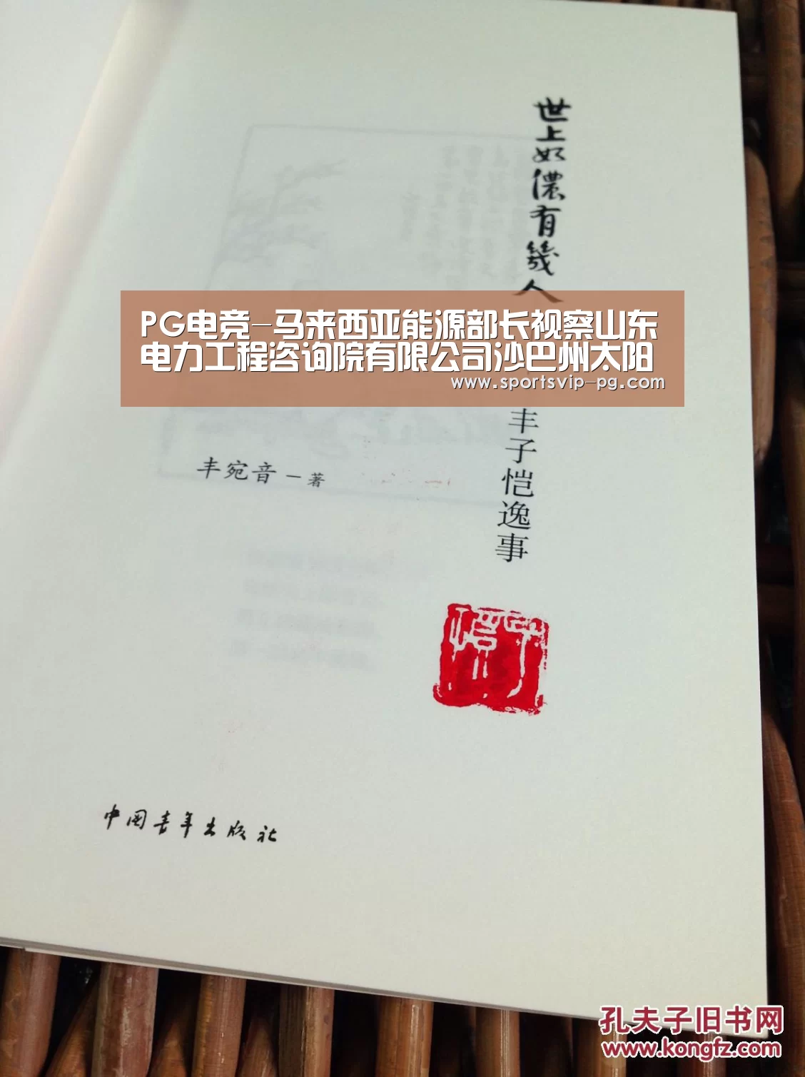 PG电竞-马来西亚能源部长视察山东电力工程咨询院有限公司沙巴州太阳能发电项目(图2) PG在线