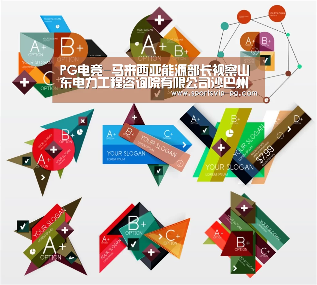 PG电竞-马来西亚能源部长视察山东电力工程咨询院有限公司沙巴州太阳能发电项目(图3) PG娱乐