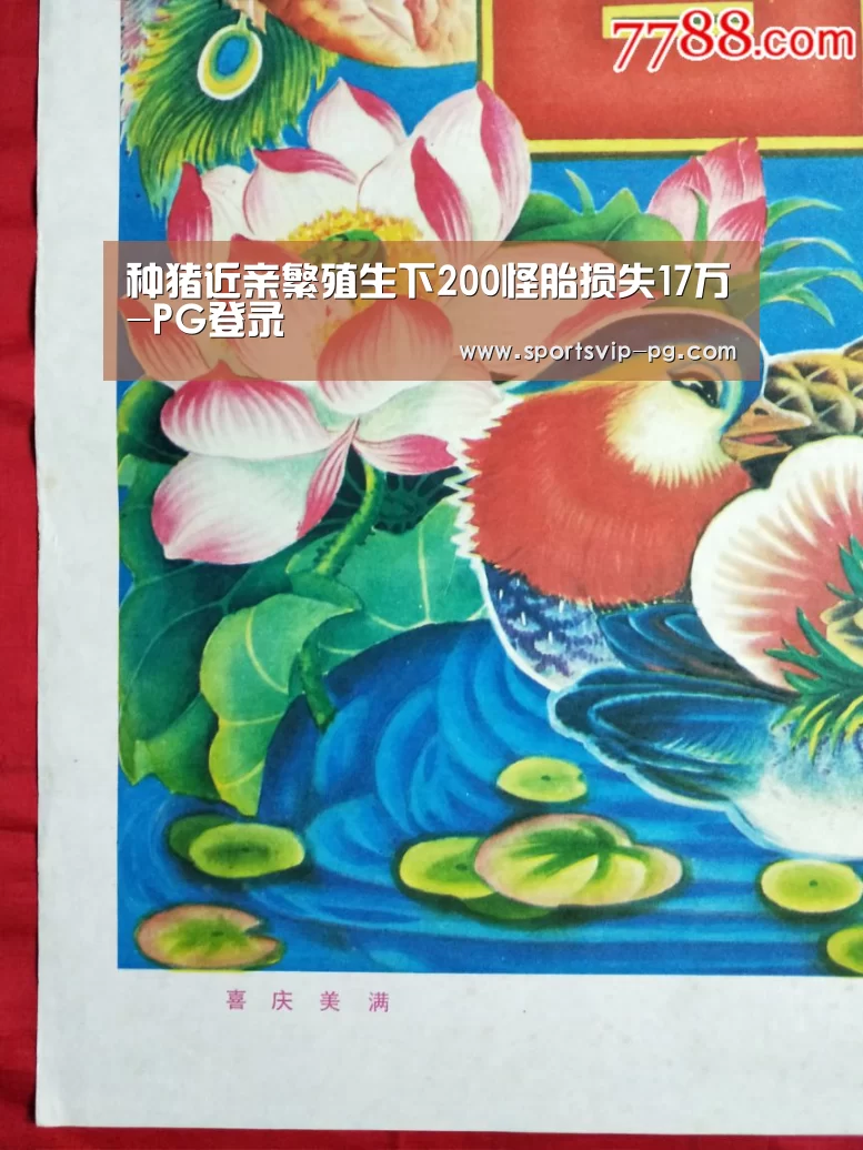 种猪近亲繁殖生下200怪胎损失17万-PG登录(图2) PG登录
